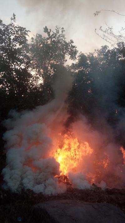 Biowaste burned in DDA park in Mehrauli