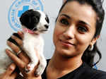 Trisha's mother fears her safety, seeks police protection