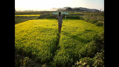 Andhra Pradesh, Telangana among top 10 farmer-friendly states