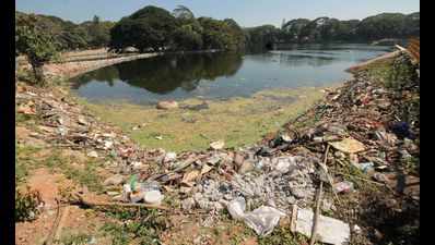 Ulsoor Lake to get sewage treatment plant in six months