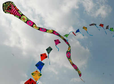 Kite Festival: Let's go fly a kite