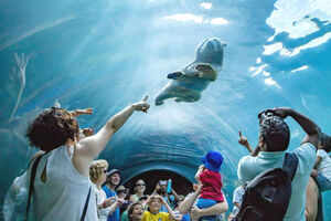 The best things to do with kids and family in Winnipeg