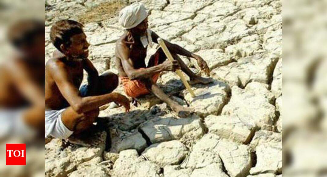 Central team to assess Tamil Nadu drought from January 21 | Chennai ...