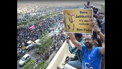 Interest groups fish in troubled waters | Chennai News - Times of India