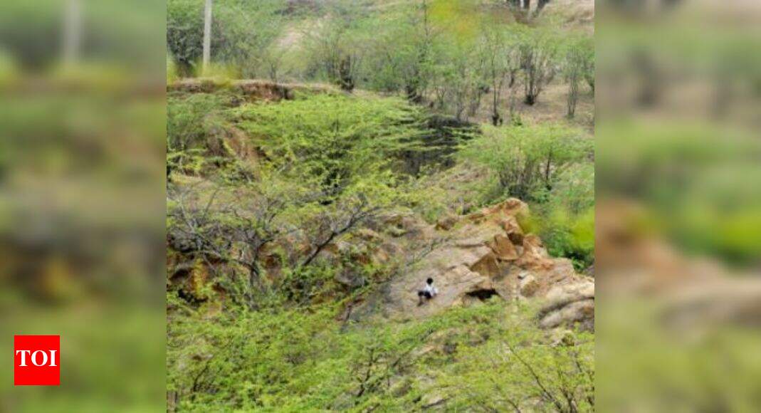 Delhi Ridge to get fixed boundaries Delhi News Times of India