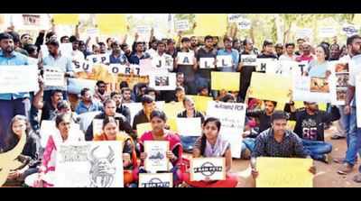 Support for jallikattu grows; Tamils in Mysuru show solidarity with Tamil Nadu