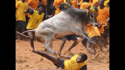 Tamilians staying in Bhubaneswar stage protest supporting jallikattu