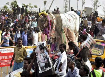 Tamil Nadu: 2 dead, several injured during Jallikattu event