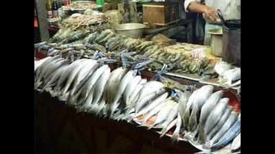 Fishy business: Crackdown on breeding of African magur