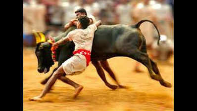 Jallikattu bill tabled, passed within minutes in TN assembly