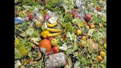 Chennai: Wasted food will now feed homeless in city