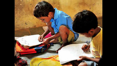Silver lining: In Telangana youth lead literacy brigade