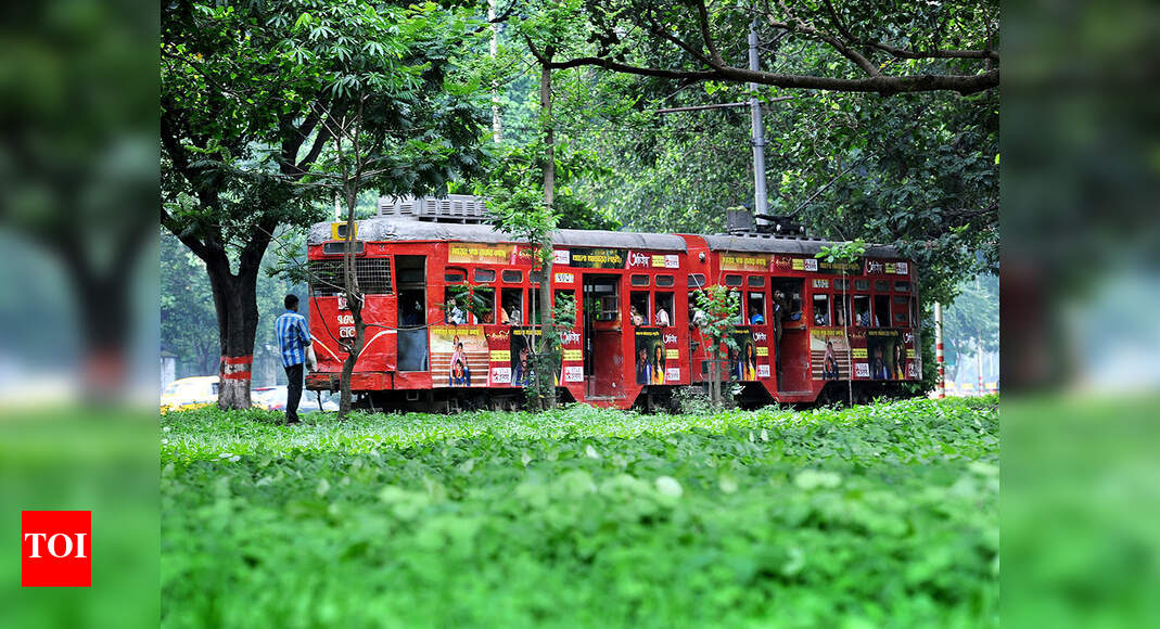 French-Model Tram Network: French-model tram network to cost Rs 250 ...