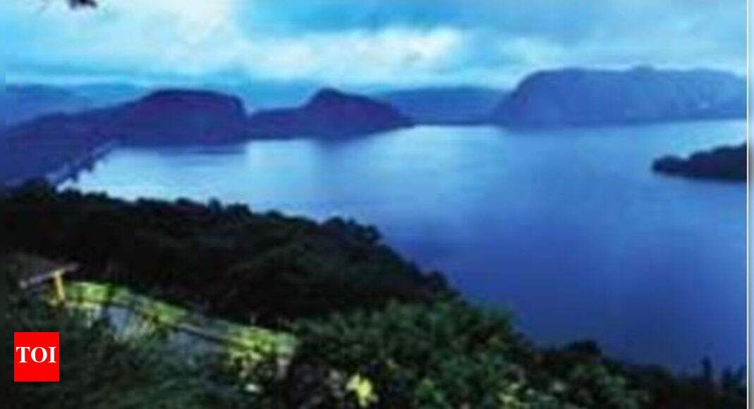 Chitlapakkam Town Panchayat: 'Stop work on temple on Chitlapakkam lake