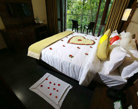 Top luxury hotels in Thekkady for that feel-good factor