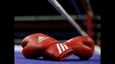 Champion city boxer eyes mixed martial art bouts