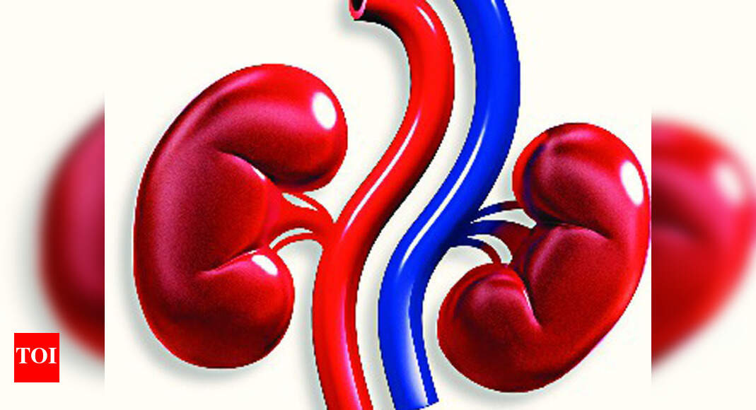 Artificial kidney may hit market soon Chennai News Times of India