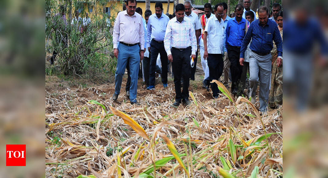 Central Team Takes Stock Of Drought Situation: Central team takes stock ...