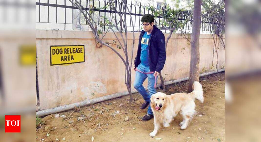 After bizarre ‘dog poop flinging’ incident, Gurgaon RWAs raise a stink