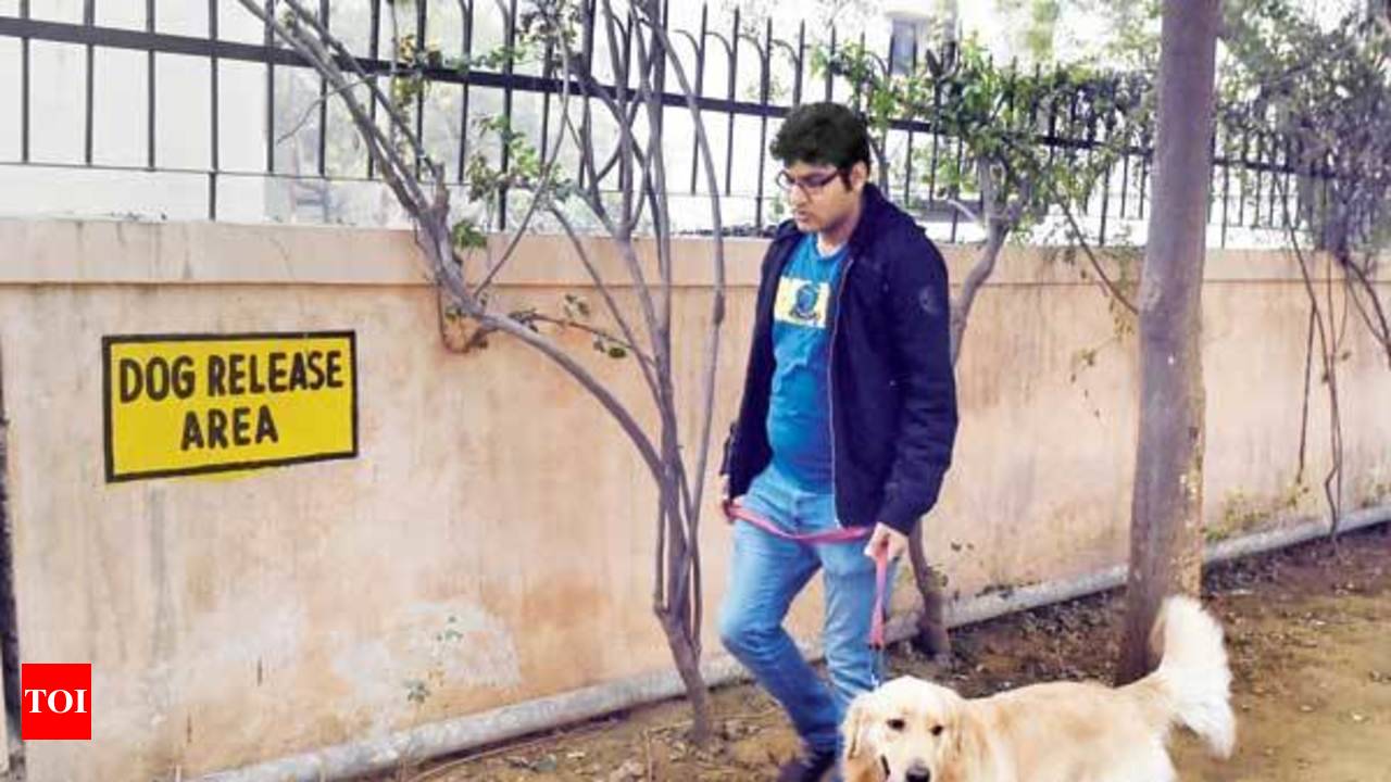 Train dog outlet poop designated area