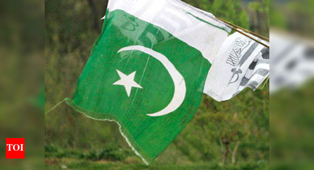 Pakistan Electronic Media: Pak channel airs banned anchor, faces ...