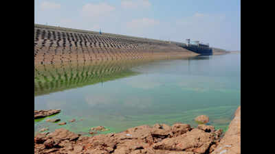 Desilt Vaigai reservoir to save water bodies: Ryots