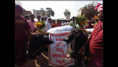 Kambala takes a leaf out of Jallikattu protests