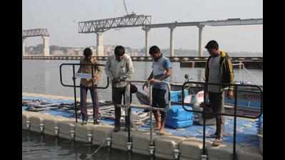 Boatmen warn Narendra Modi, BJP against jetties in front of Ganga ghats