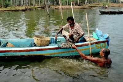 DTPC introduces backwater tourism circuit | Thiruvananthapuram News ...