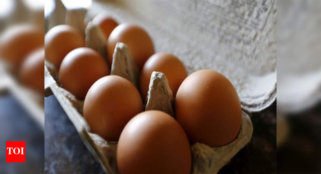 Businessman's son throws egg at passing car, hits 3 vehicles Kolkata