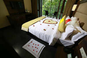 Top luxury hotels in Thekkady for that feel-good factor