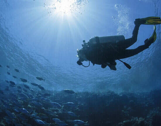 Diving