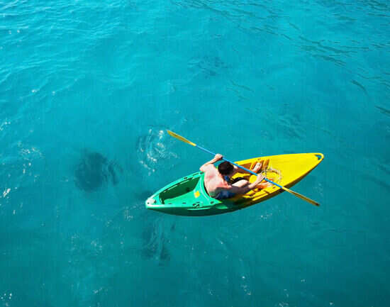 Mangrove kayaking