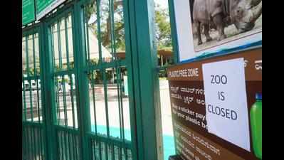Mysuru Zoo could reopen on Feb 1