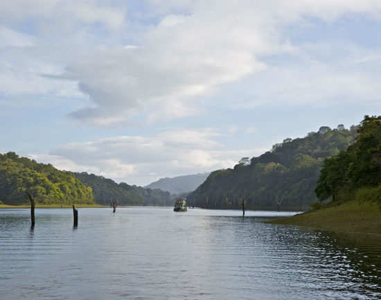 Periyar Lake in Thekkady | Times of India Travel