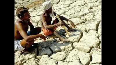 Farmers urge TN govt to hike drought relief