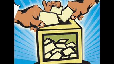 Large number of candidates may spoil party for bigwigs