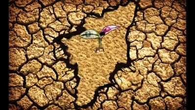 Hope dries up for drought-hit Tamil Nadu