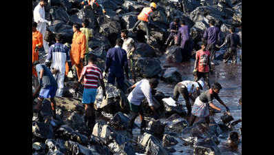 Oil spill clean-up in Chennai nearing completion