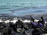 Chennai's oil spill spreading, has travelled 32km