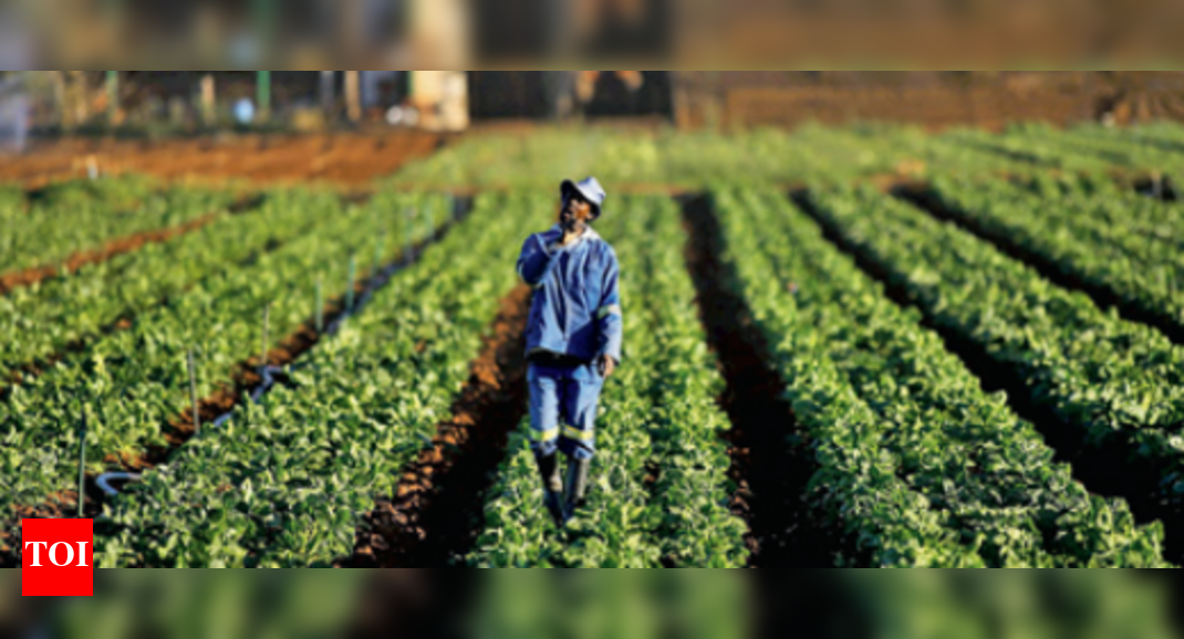 Africa beckons Gujarat farmers, offers 90,000 hectares land on lease