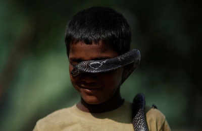 Hiss story: Meet India’s urban snake-catchers