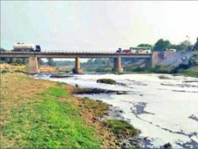 Sardulgarh’s turnout highest because of Ghaggar pollution, proximity to Sirsa dera