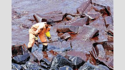 Ennore oil spill could have been 1,000 times worse