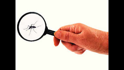 Dengue hits 600 in Mizoram