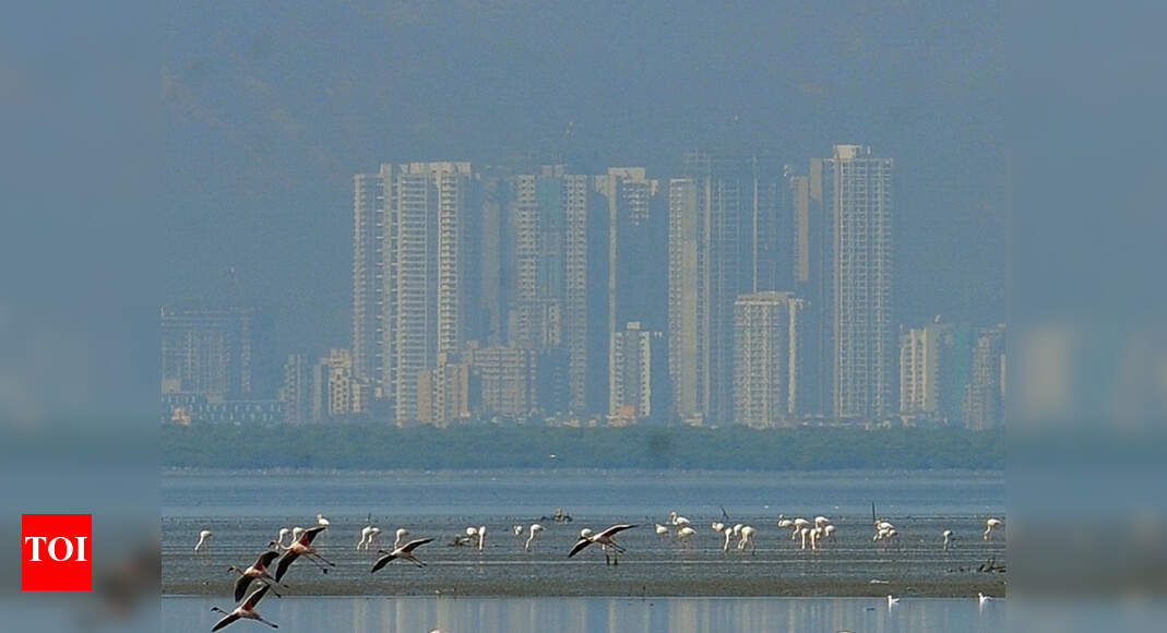 World Wetlands Day to be celebrated at Mini Seashore | Navi Mumbai News ...