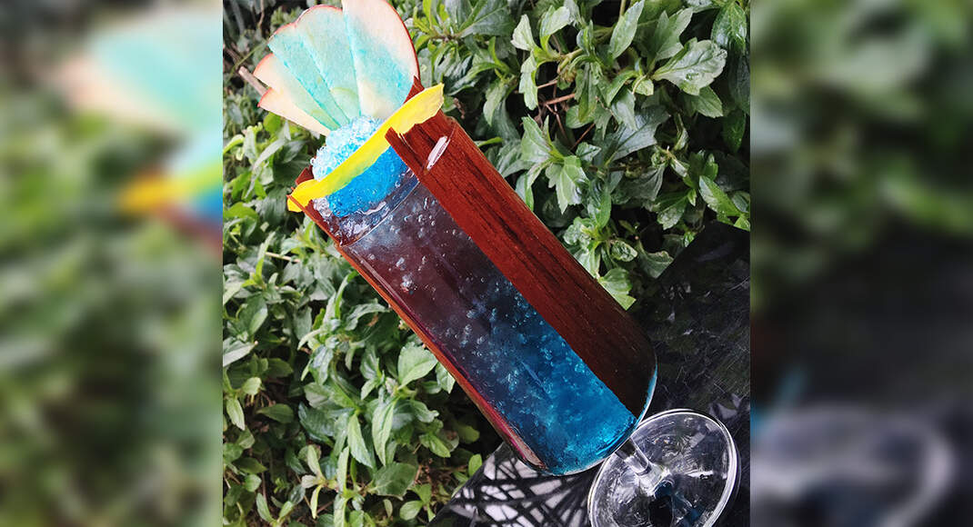 Sea Breeze Recipe: How to Make Sea Breeze Recipe | Homemade Sea Breeze Recipe