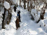 Kashmir Valley sees widest whiteout in 25 years