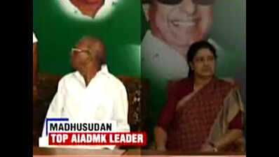 Senior AIADMK leader Madhusudan extends support to OPS