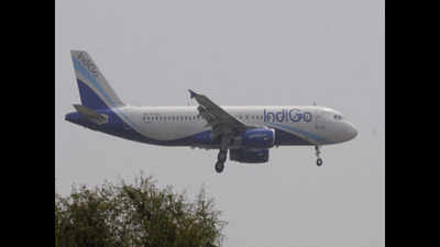 IndiGo flyer can get jail term for opening emergency exit